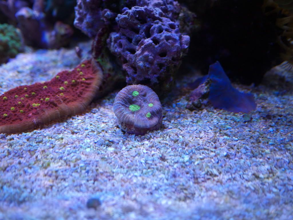 P1000219.jpg