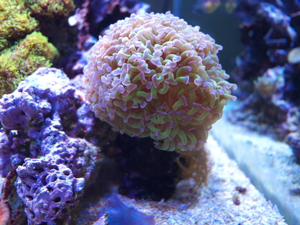 P1000220.jpg