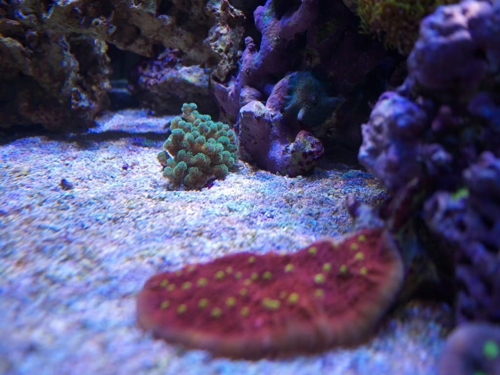 P1000223.jpg