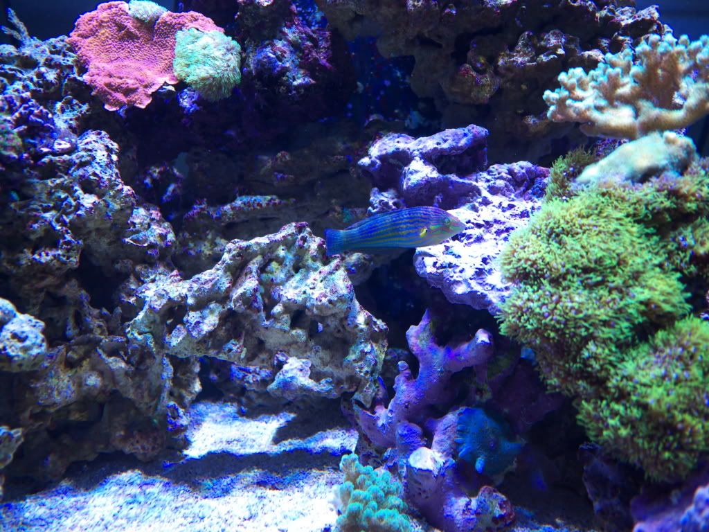 P1000229.jpg