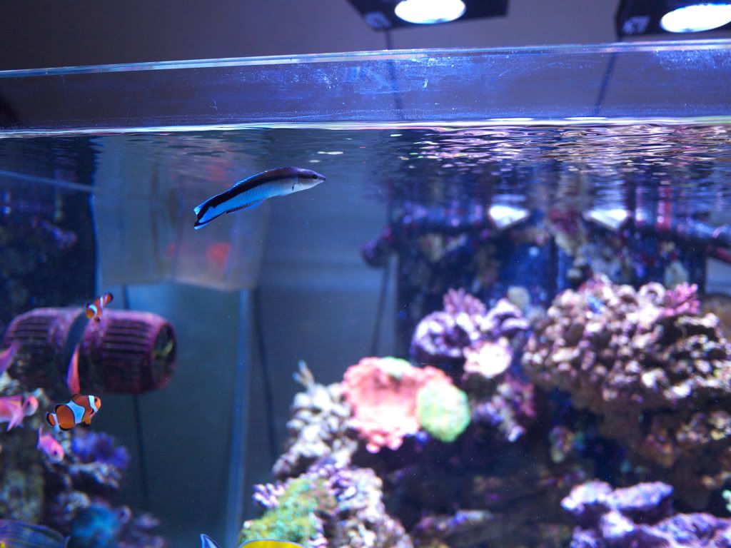 P1000230.jpg