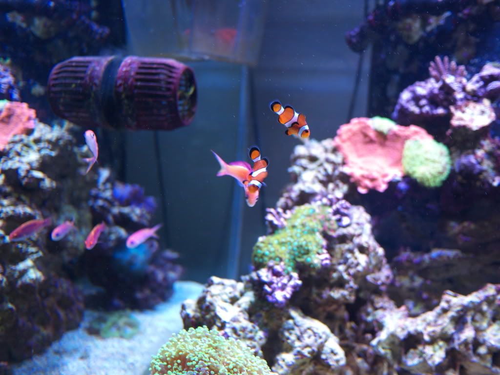 P1000231.jpg