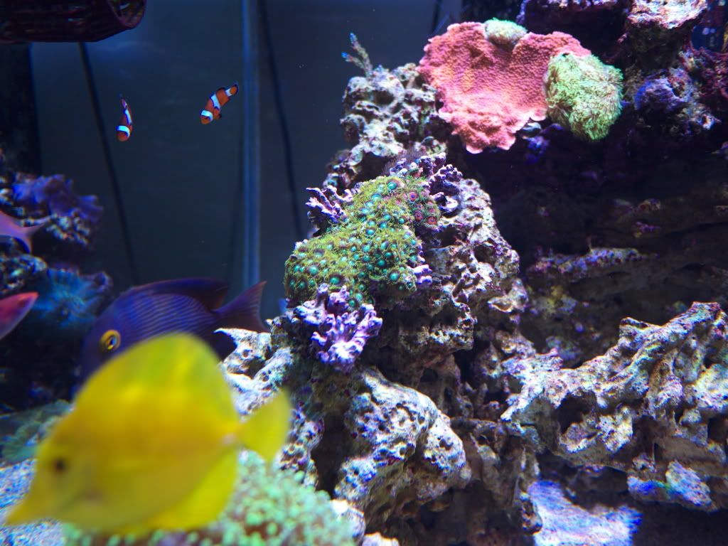 P1000232.jpg