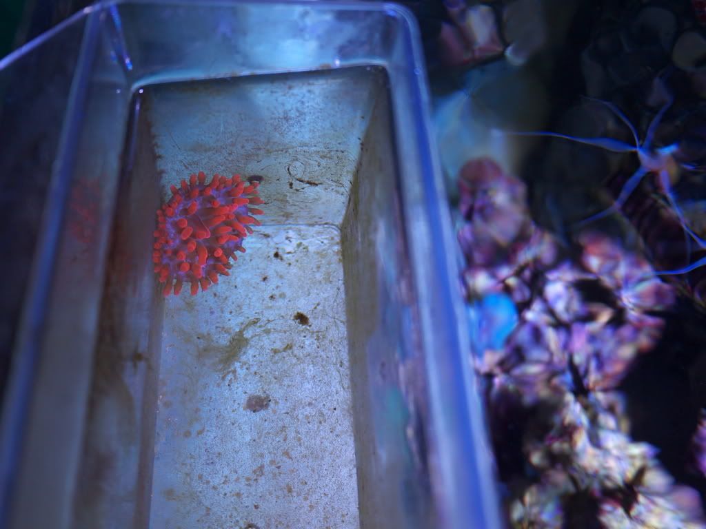 P1000233.jpg