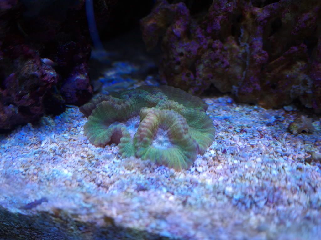 P1000237.jpg