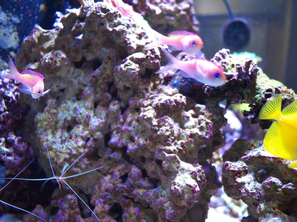 P1000240.jpg