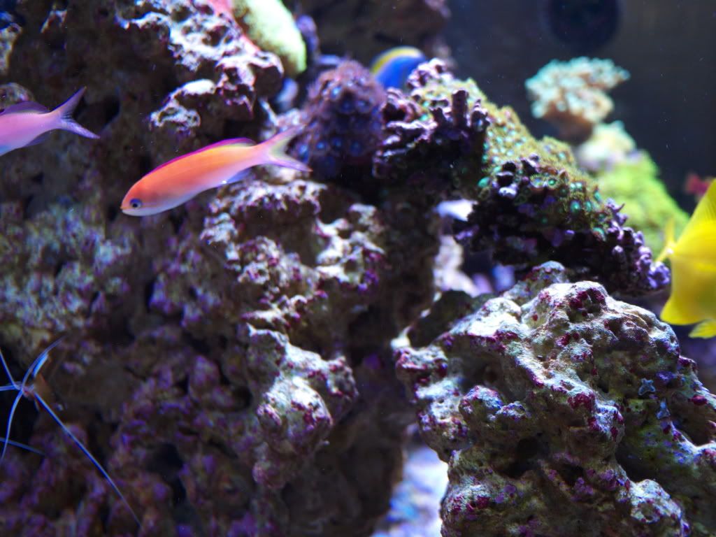 P1000241.jpg