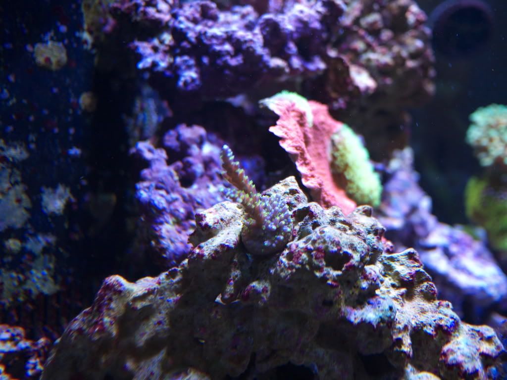 P1000242.jpg