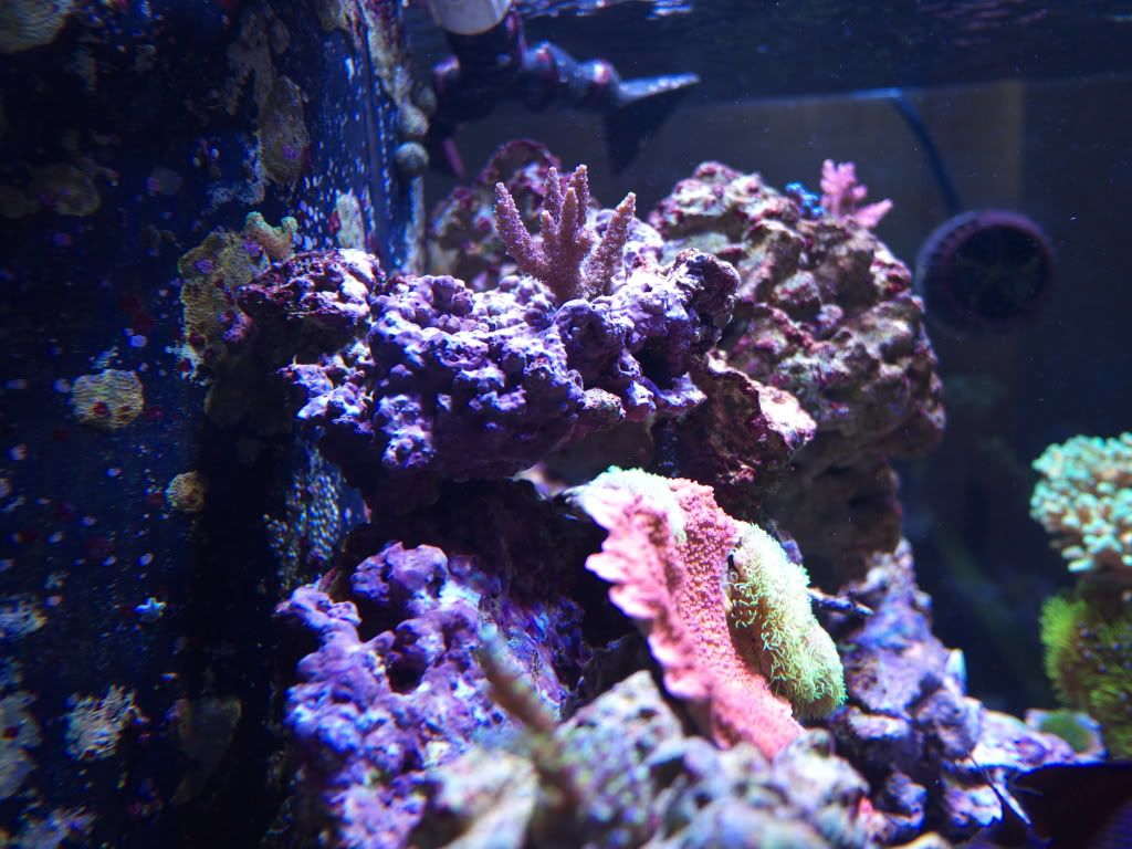 P1000243.jpg