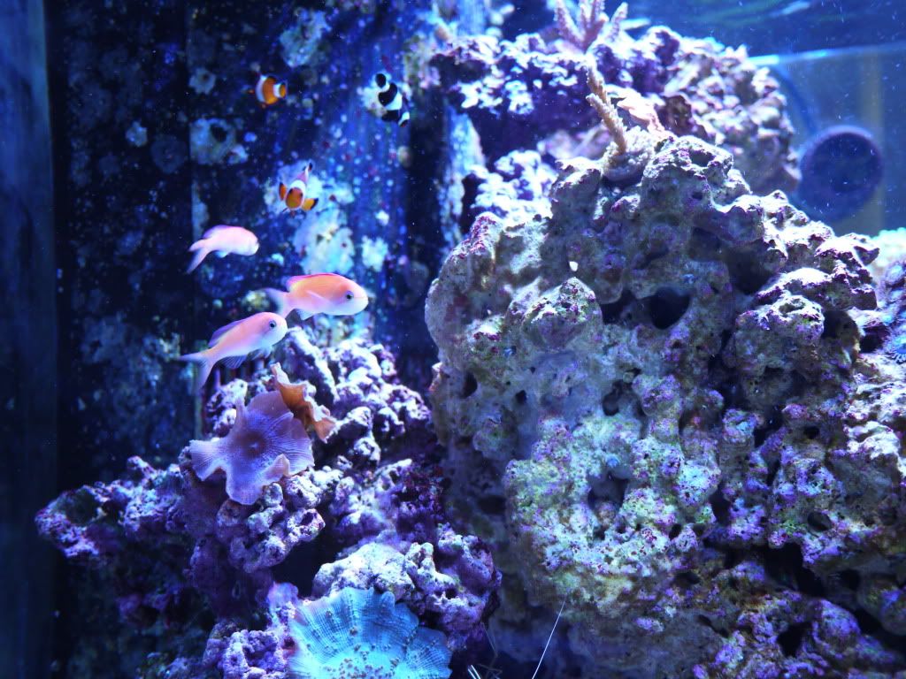 P1000279.jpg