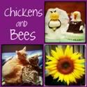 Chickens and Bees