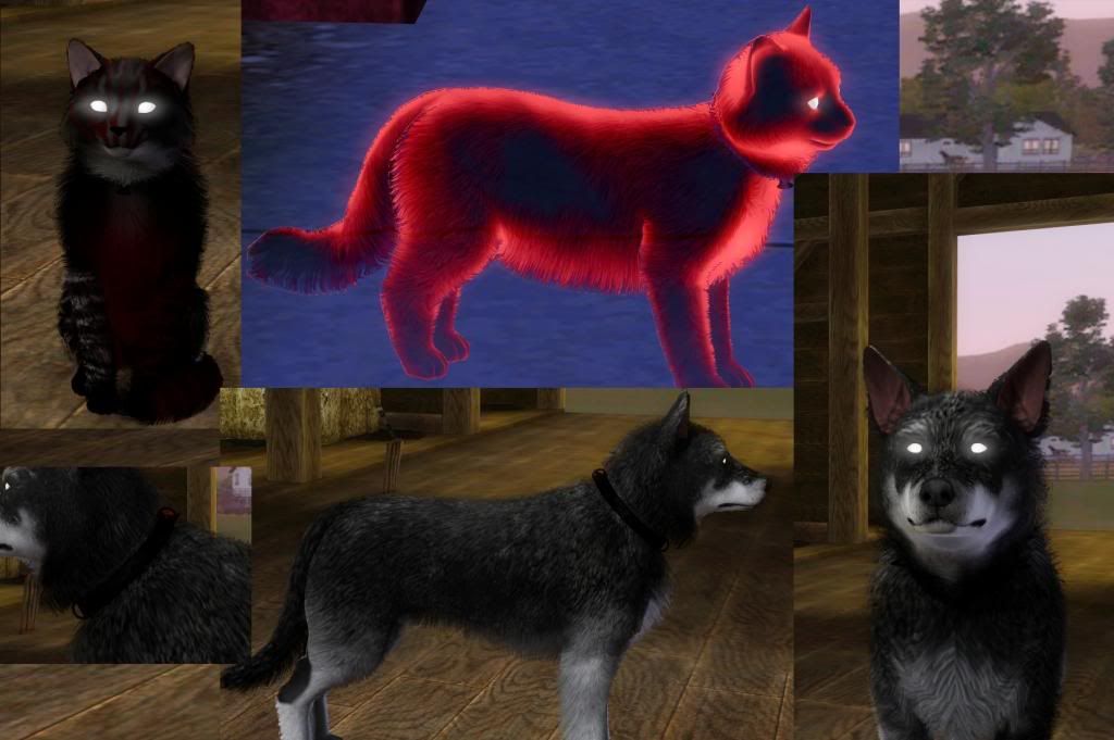 Ghost Pet Question — The Sims Forums