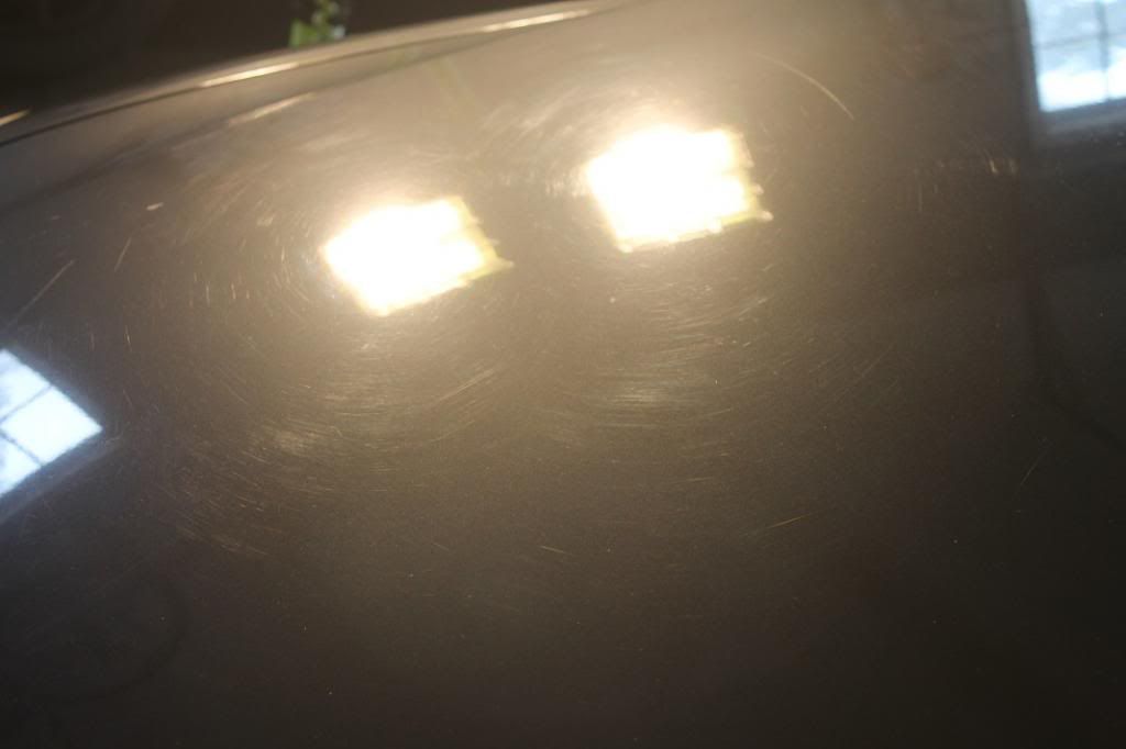 IMG_4365_zps24c3a656.jpg