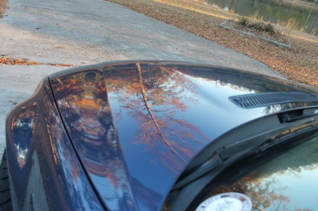 ZHoodReflection_zpsf14490b0.jpg