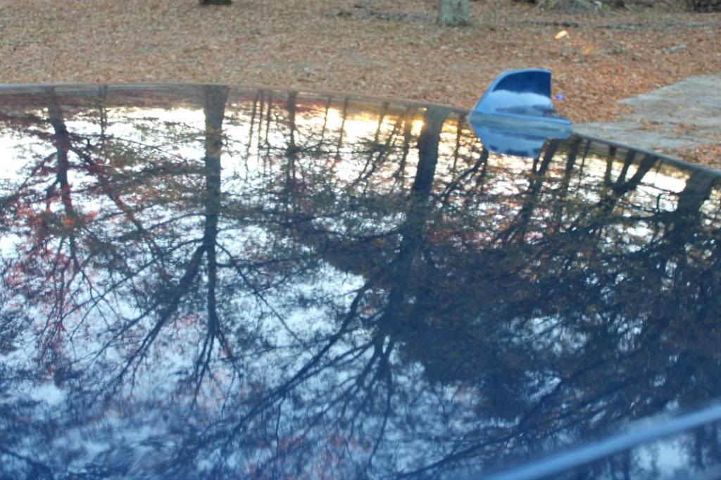 ZRoofReflection_zps9999cb85.jpg