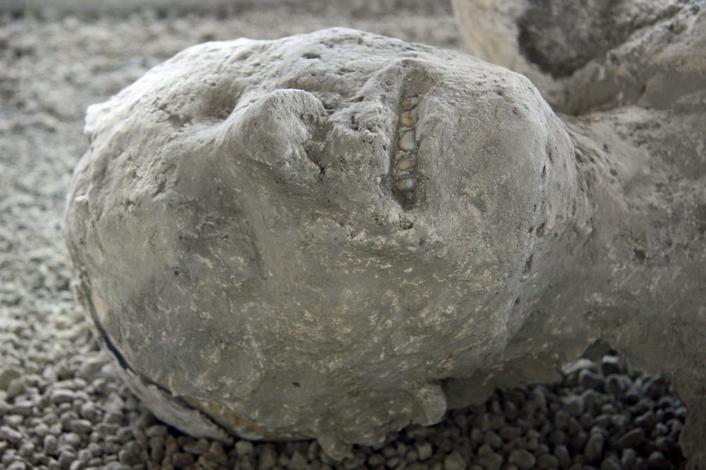 Việt Nam Xanh - Những xác người hóa đá của thành Pompeii (Hình 8).