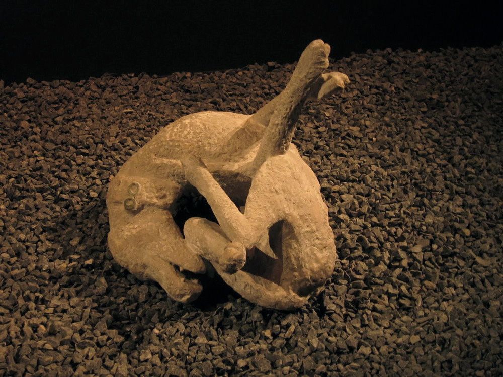 Việt Nam Xanh - Những xác người hóa đá của thành Pompeii (Hình 9).