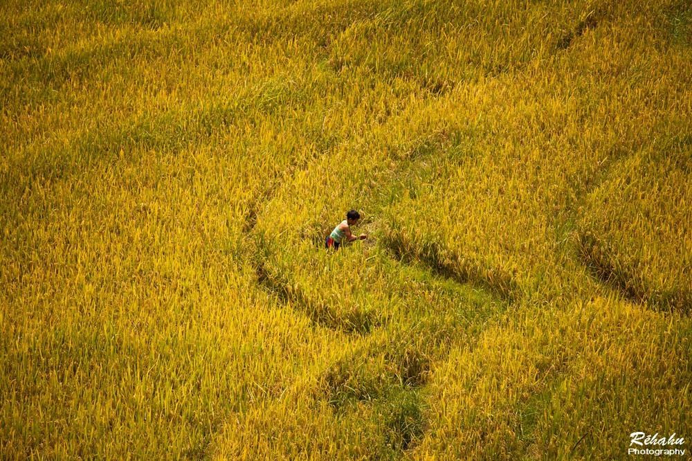 Việt Nam Xanh - Phong cảnh Việt Nam tuyệt đẹp qua ống kính Réhahn (Hình 16).