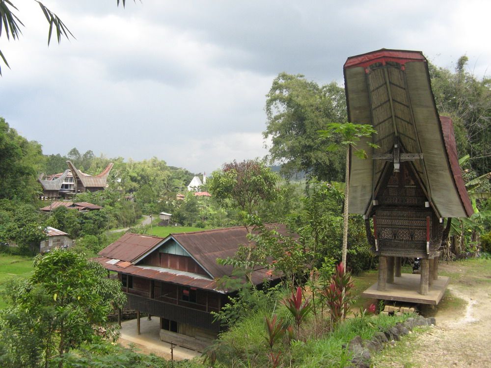 Lạ & Cười - Ngắm nhà sàn Indonesia giống hệt hình vẽ trên trống đồng Việt (Hình 8).