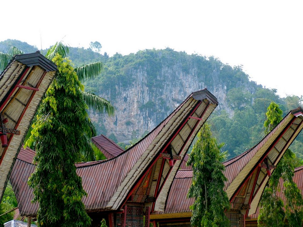 Lạ & Cười - Ngắm nhà sàn Indonesia giống hệt hình vẽ trên trống đồng Việt (Hình 20).