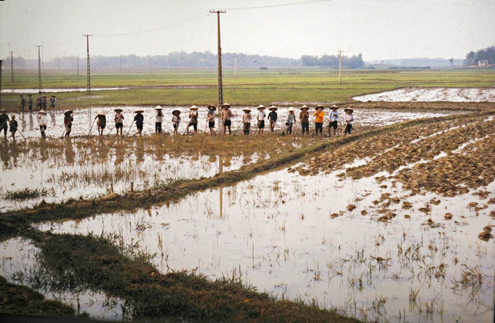 Redsvn-Ha-Noi-Hai-Phong-1979-25.jpg%7Eoriginal