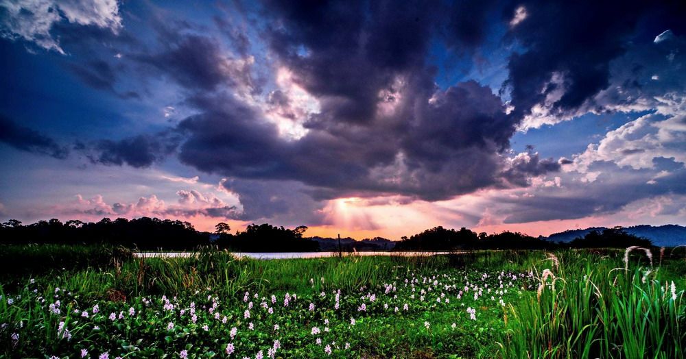 Mặt trời đang lặn dần, rọi xuống những tia nắng cuối cùng trên Bàu Sấu. Tia sáng tạo nên những tia sáng tỏa ra sau cơn mưa giông vừa dứt phía xa. 