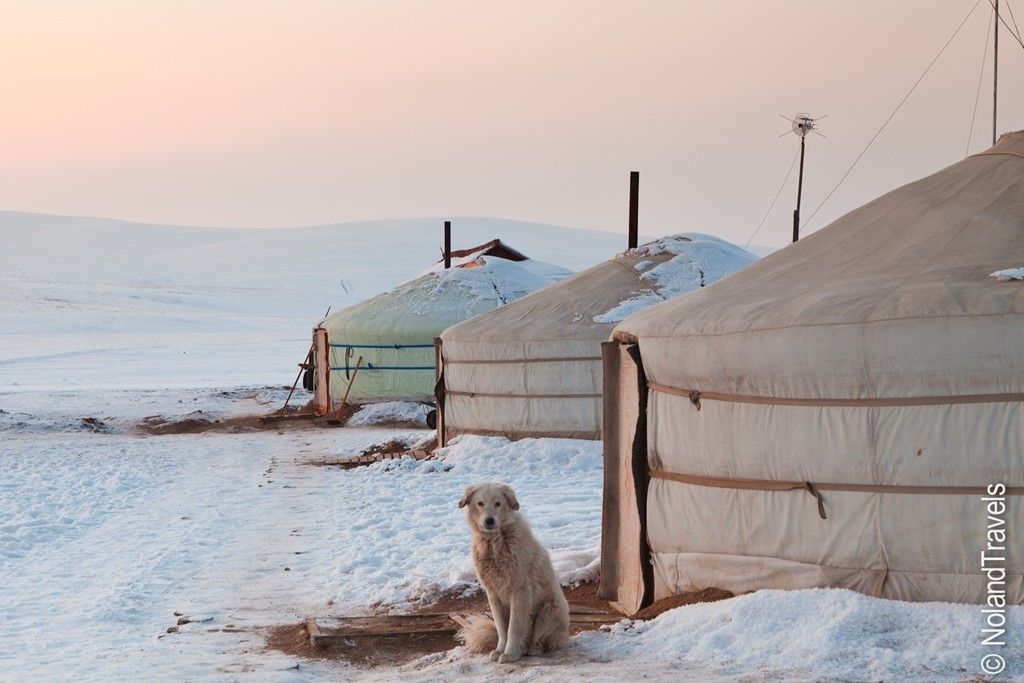 Ulaanbaatar, Mông Cổ: Nhiệt độ ở đây thường xuyên xuống tới -35 độ C vào mùa đông, với kỷ lục là -55 độ C. Ảnh: Nolandtravels.
