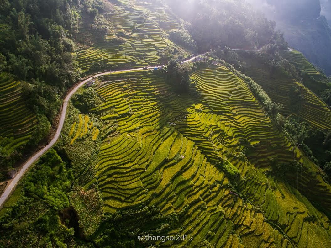 Ruộng bậc thang Y Tí (Lào Cai)