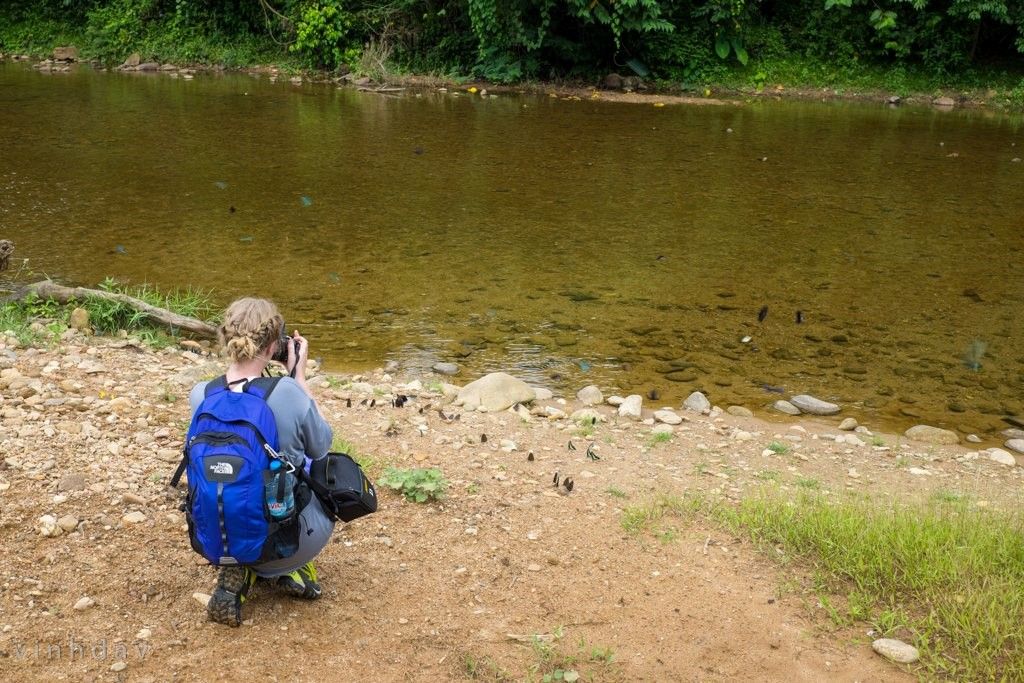 Nguoi Viet chinh phuc Son Doong: choang ngop vi thien nhien hinh anh 2
