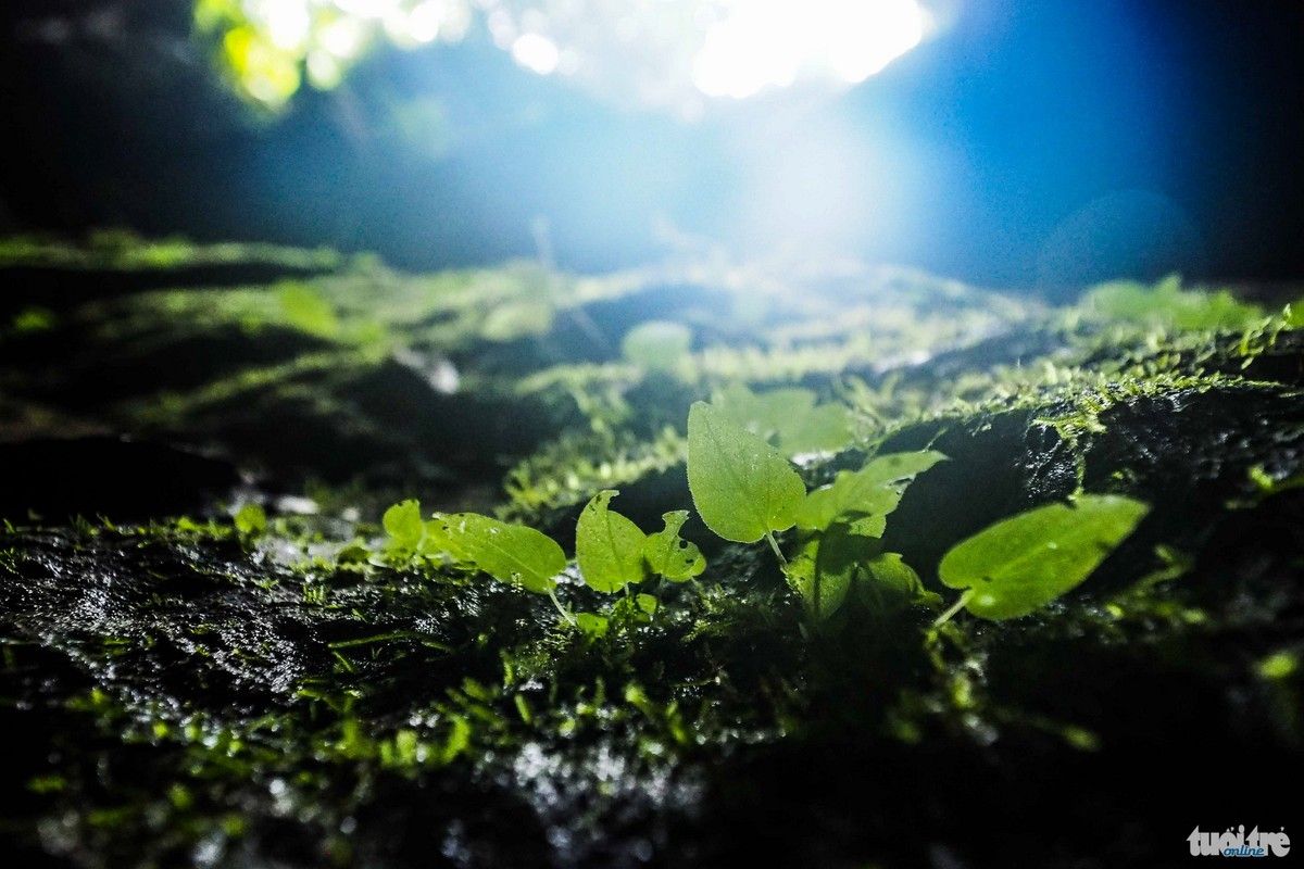 Thẳm Phầy - “Sơn Đoòng” ở Ba Bể