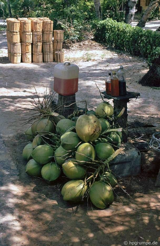 Trên bán đảo Lăng Cô: bán củi, dừa và xăng