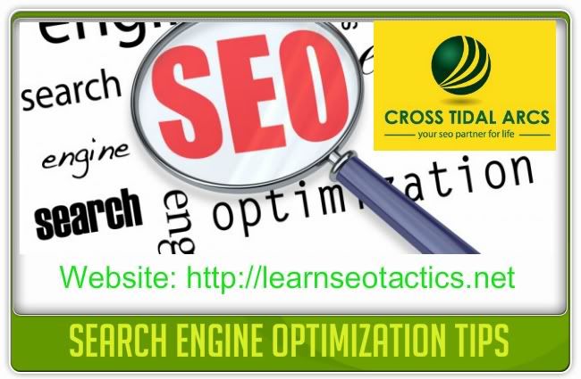 search engine optimization expert