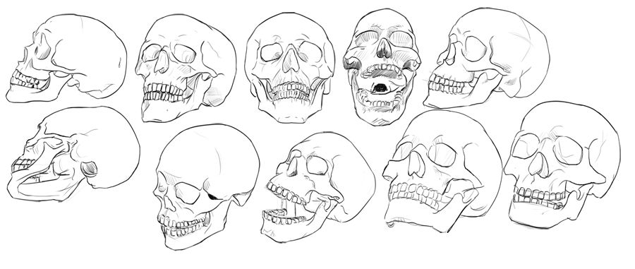 [Image: skulls.jpg]
