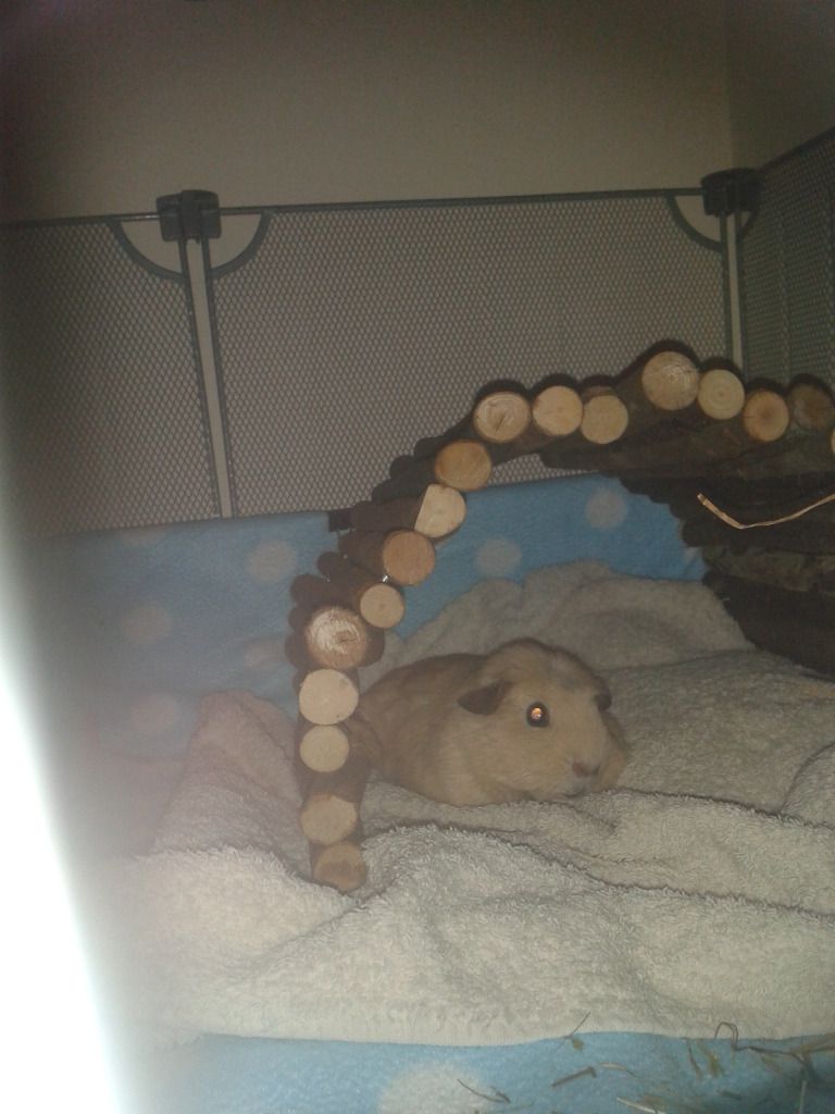 2012-07-21234910.jpg