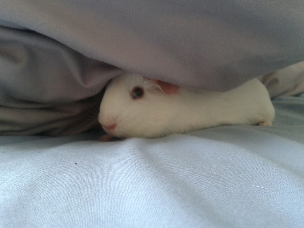 2012-07-23151504.jpg