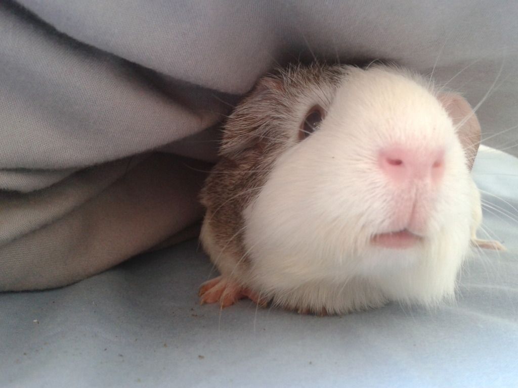2012-07-23151539.jpg