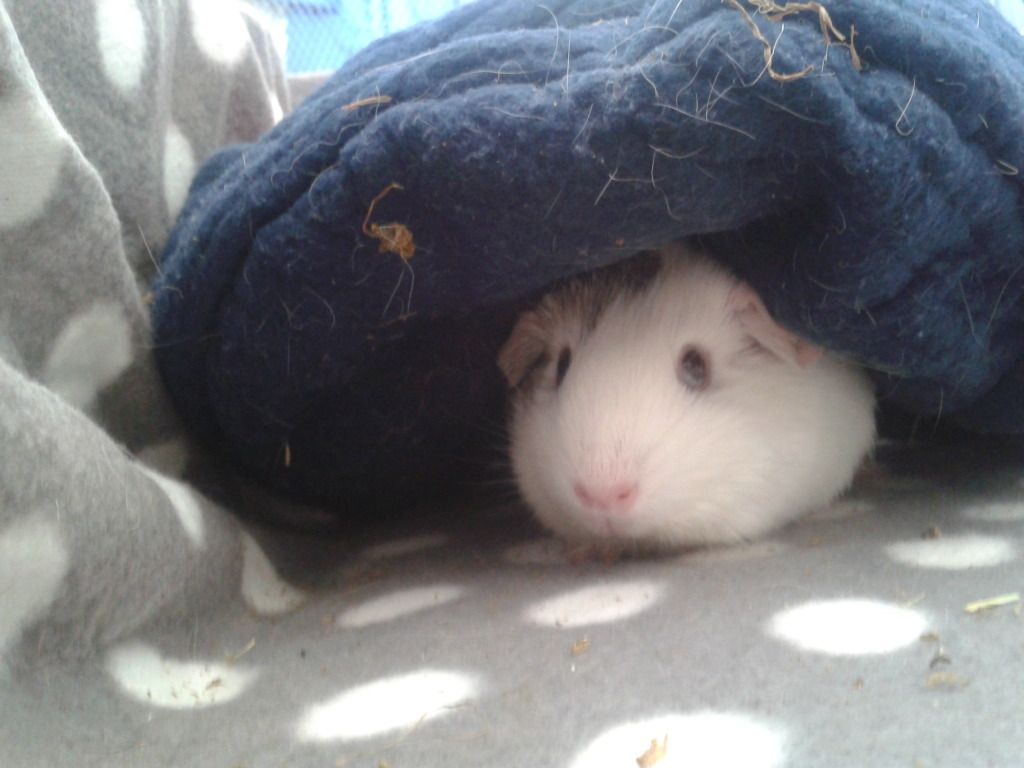 2012-07-23152204.jpg