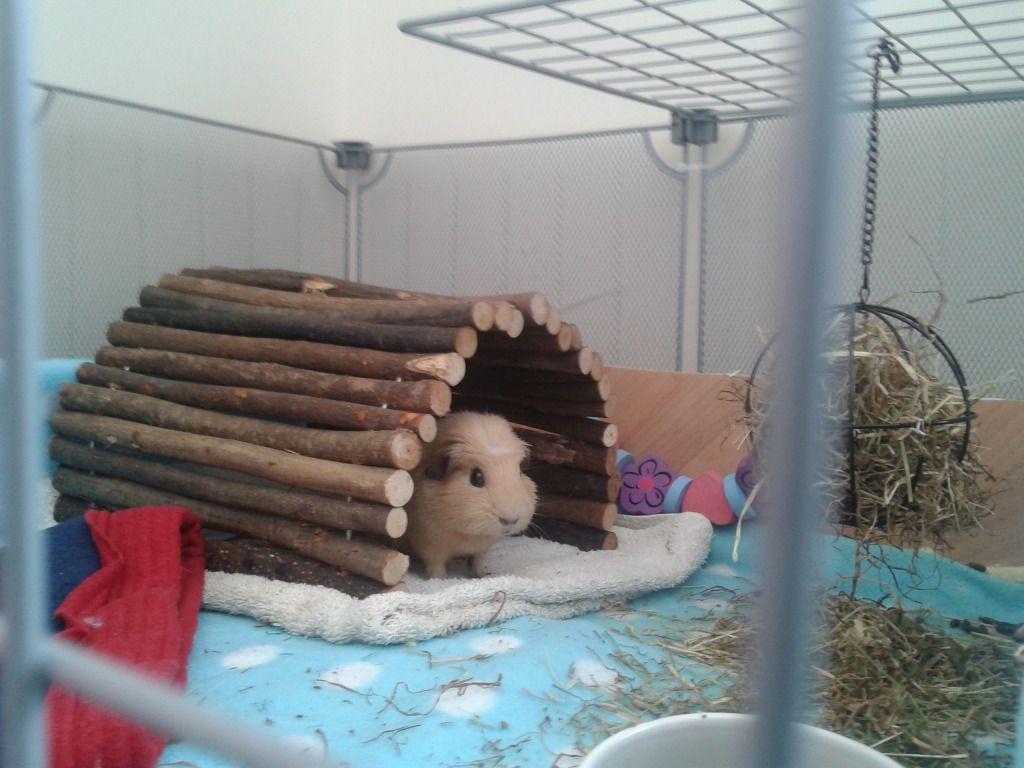 2012-07-23152533.jpg