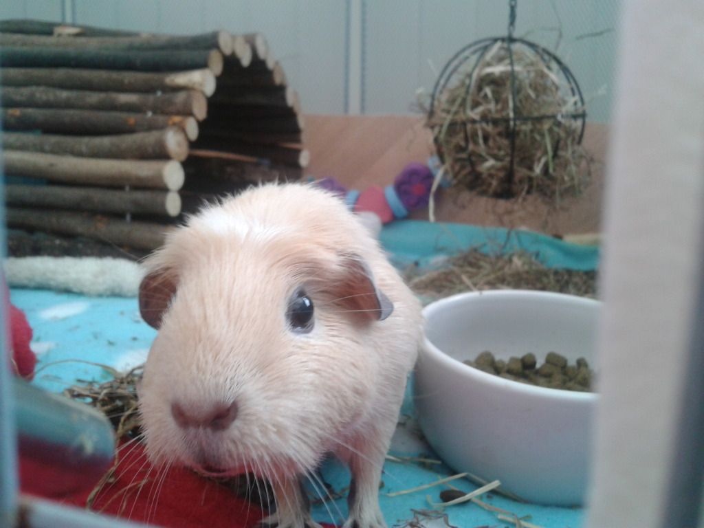 2012-07-23152551.jpg