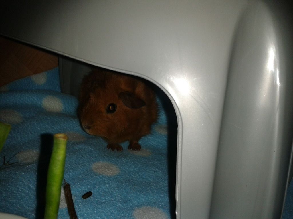 2012-09-07192452.jpg