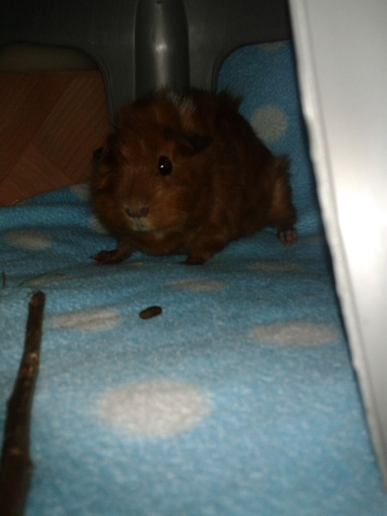 2012-09-07192742.jpg