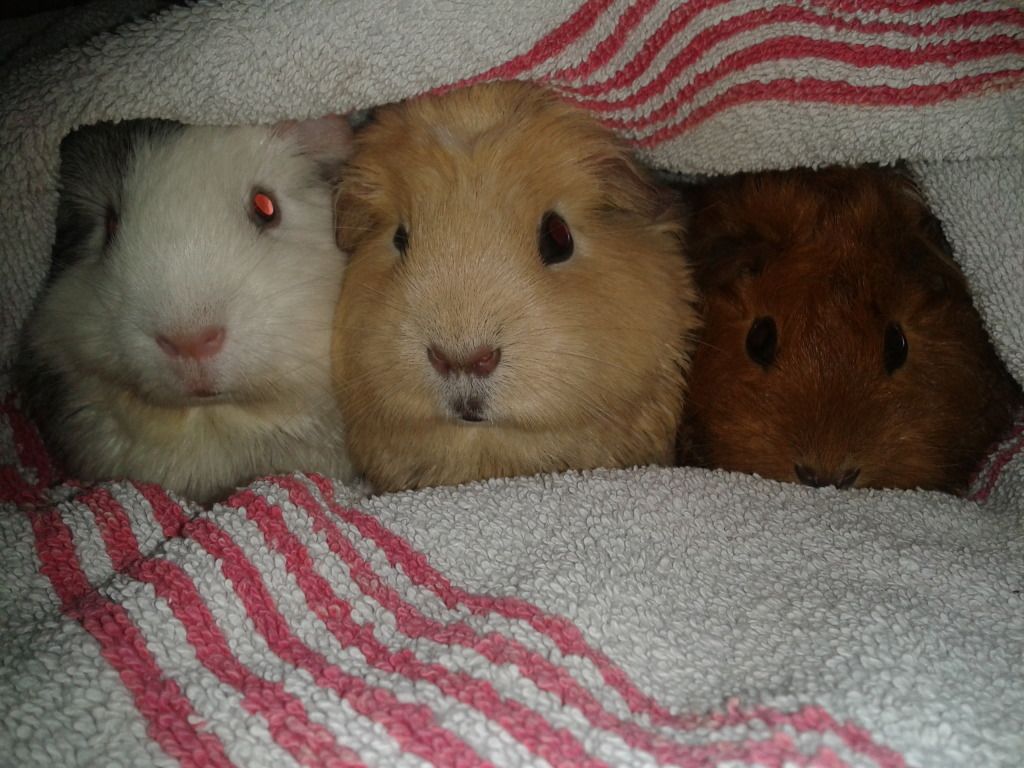 2012-09-14103352.jpg