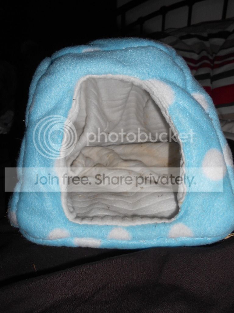 DSCN0737.jpg