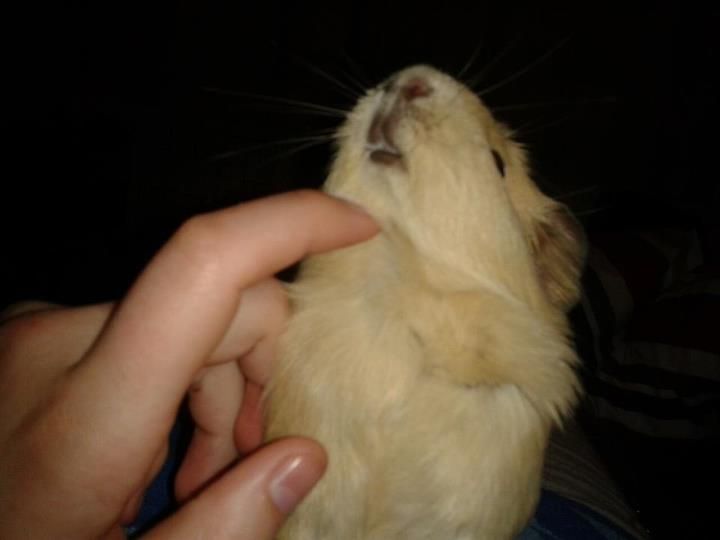 penny.jpg