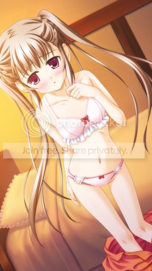 2次元贴图资源2次元的妹子也喜欢玩擦边球108p