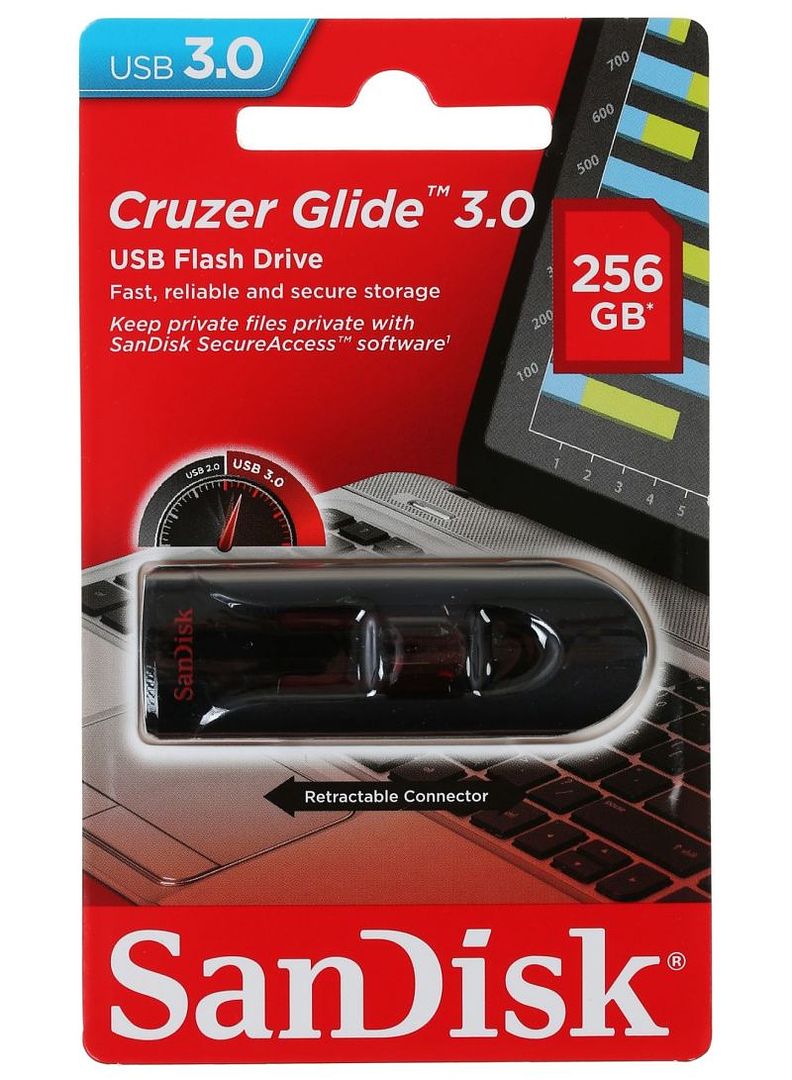 restore sandisk 256gb flash drive
